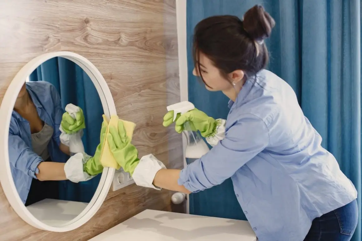 Regular Clean Regular Cleaning
